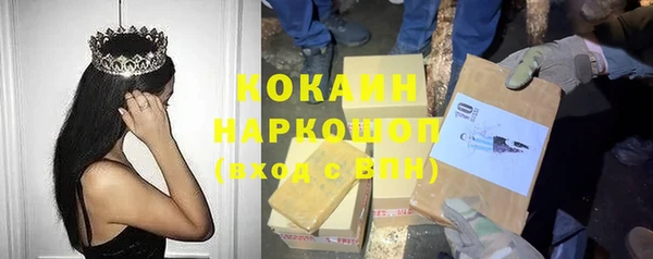 гидра Аркадак