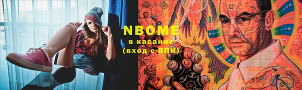 гидра Аркадак